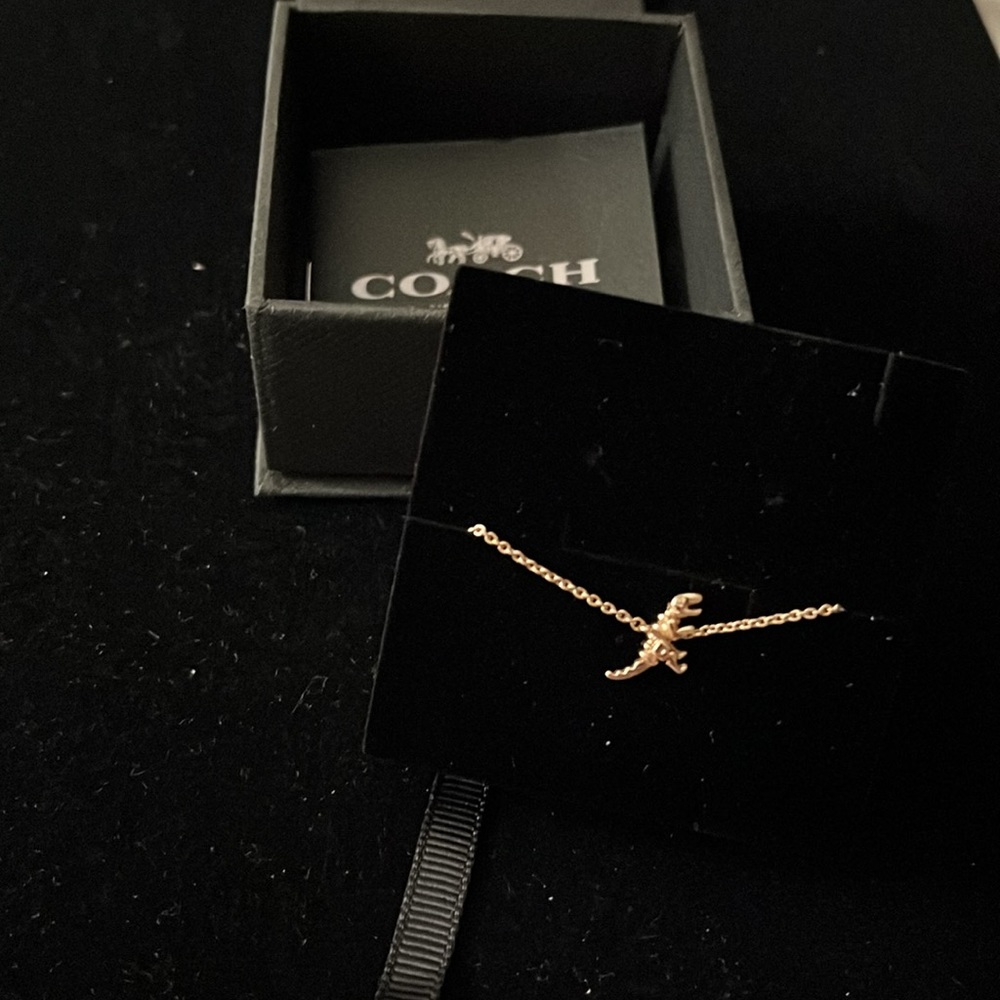 Coach Mini Demi Fine Rexy Bracelet in Rosegold - Picture 3 of 7